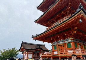 Temples and Pagodas in Kyoto